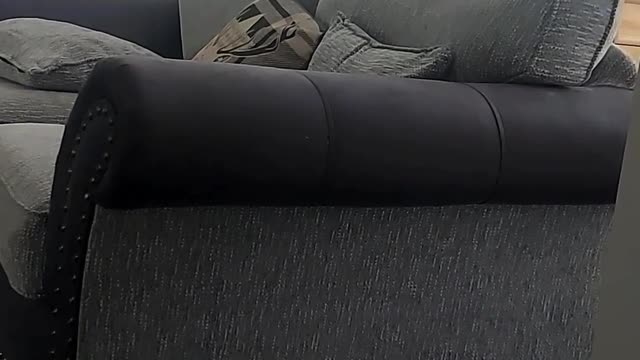 Rabbit Tries to Parkour off Furniture