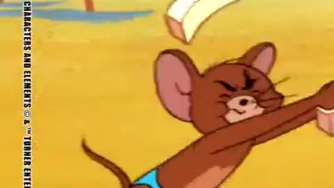 A relaxing day at the beach... #shorts #tomandjerry