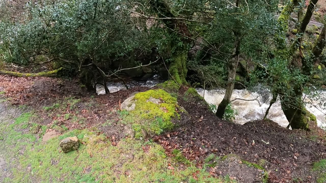 Shipley bridge Dartmoor UK GoPro 23rd March 2023