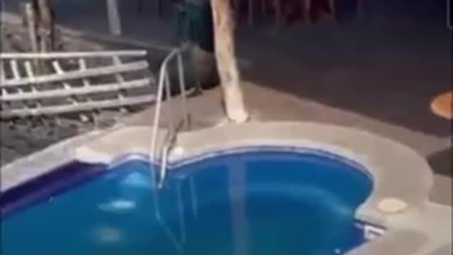Wait For It…