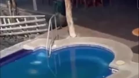 Wait For It…
