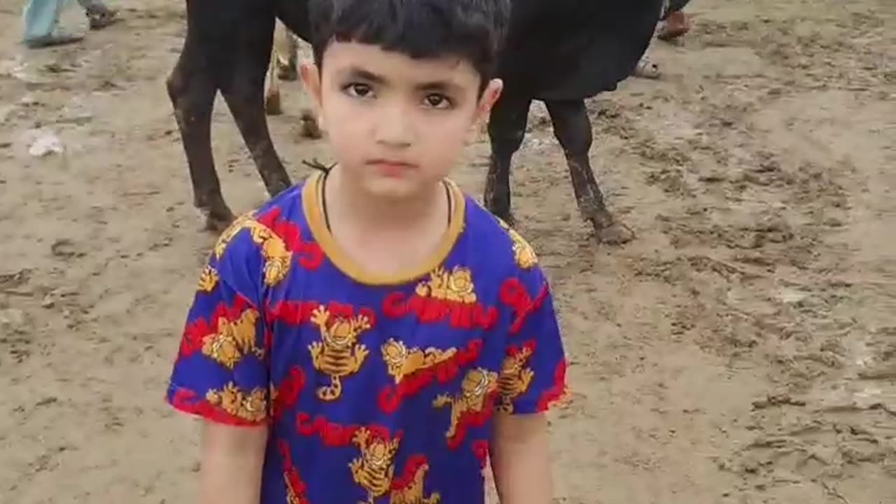 Bakara mandi vlog