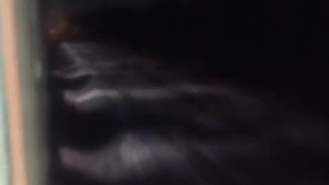 Indian railways night view