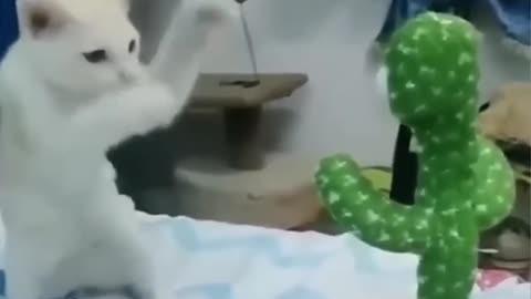 Funny Animal Videos Of The Day 0030! 😂😂 #fyp #memes #memedaily #dankmemes