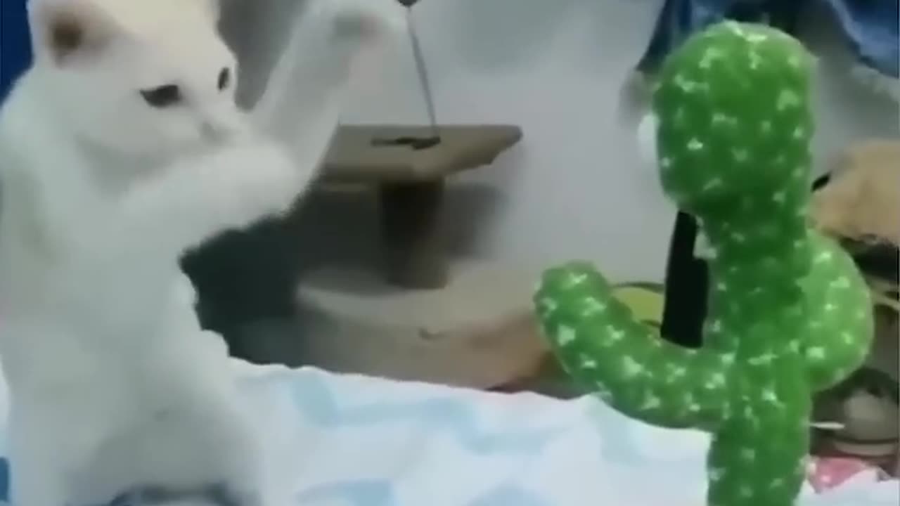 Funny Animal Videos Of The Day 0030! 😂😂 #fyp #memes #memedaily #dankmemes