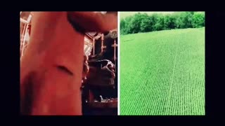 Time Travel