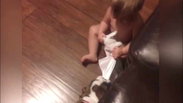 Dogs and Cute Babies Make The Best Friends