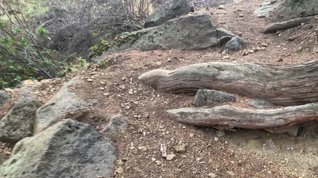 Central Oregon – Smith Rock State Park – Climbing Very Steep Side Trail – 4K