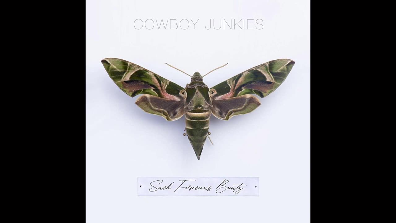 Cowboy Junkies - Such Ferocious Beauty