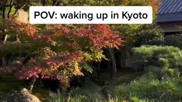 POV: waking up in Kyoto