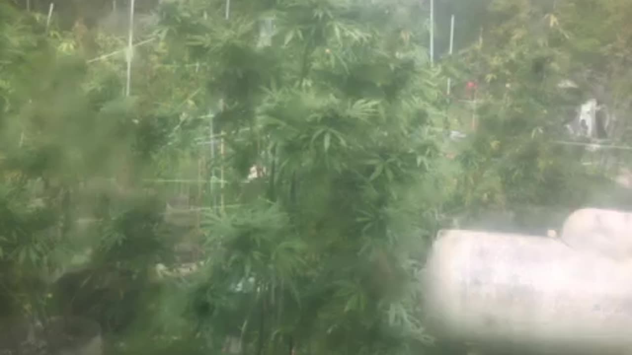 Tuesday progressives hate Jews Israel 🇮🇱 p 3 Derek Hunter Rumble