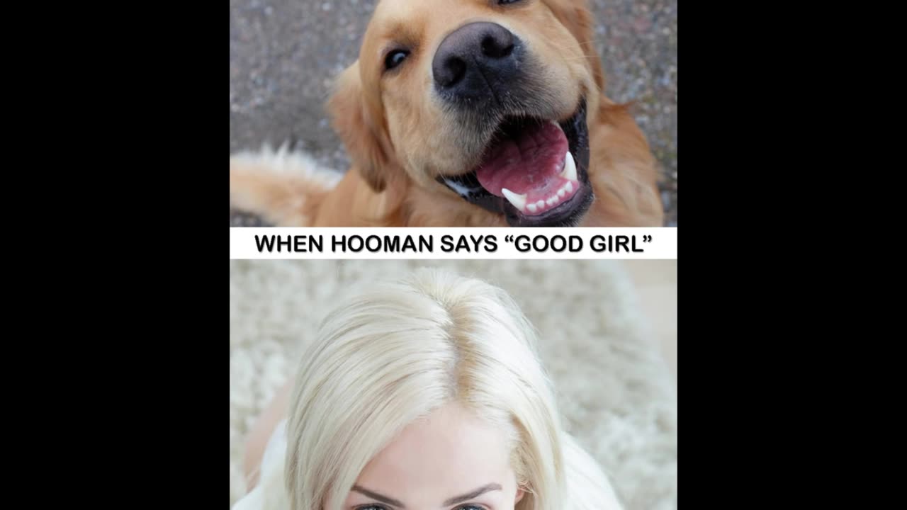 Random Memes