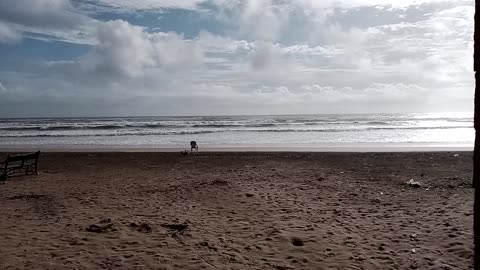 BeautifulBeachNearKarachi