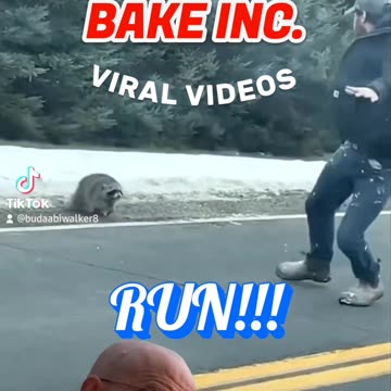 DONT PET WILD ANIMALS