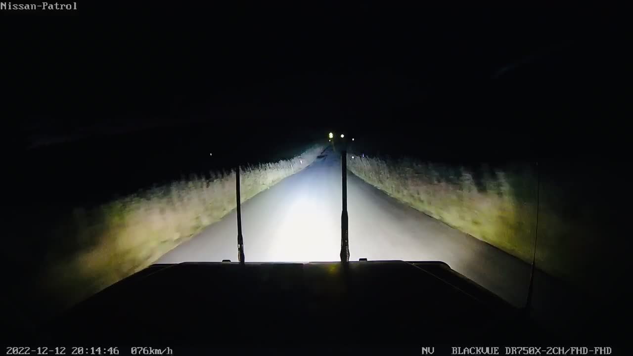 Close Call Deer