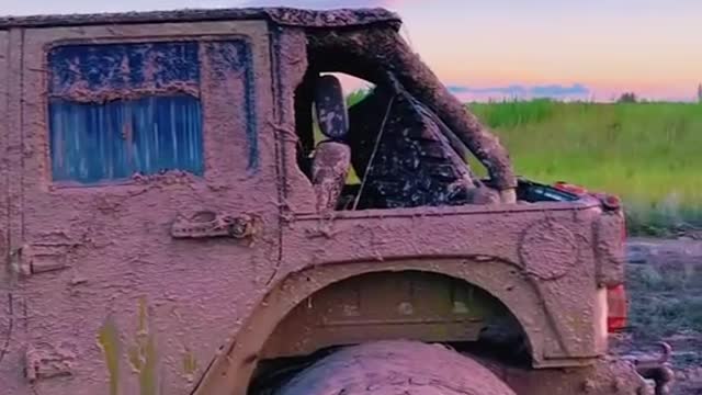 Roll in the muddy water