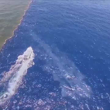 Εδώ συναντώνται ο ποταμός Μισισιπή και ο Κόλπος του Μεξικού