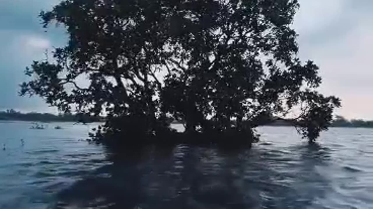 A beautiful scene in the middle of the river
