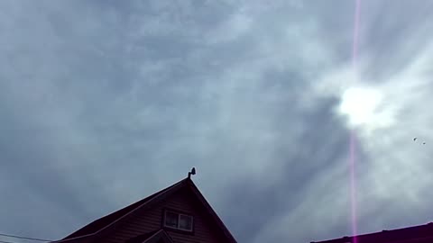Little Chemtrail in your coffee? 4/11/24: