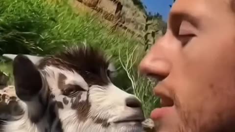Animals funny reaction 🤣