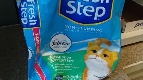 Will Rob Wolchek The Cat Use Non-Clumping Cat Litter? Dbn, MI, 10/14/23