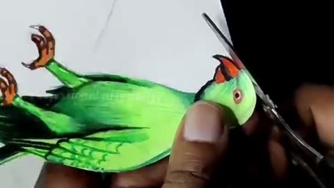 How to draw 3D parrot