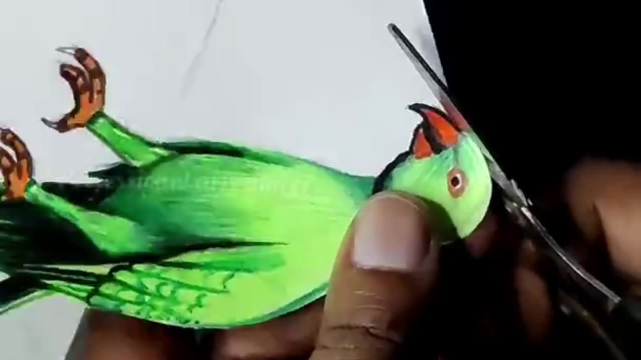 How to draw 3D parrot