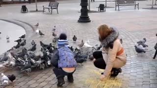 Feeding pigeons in the park.