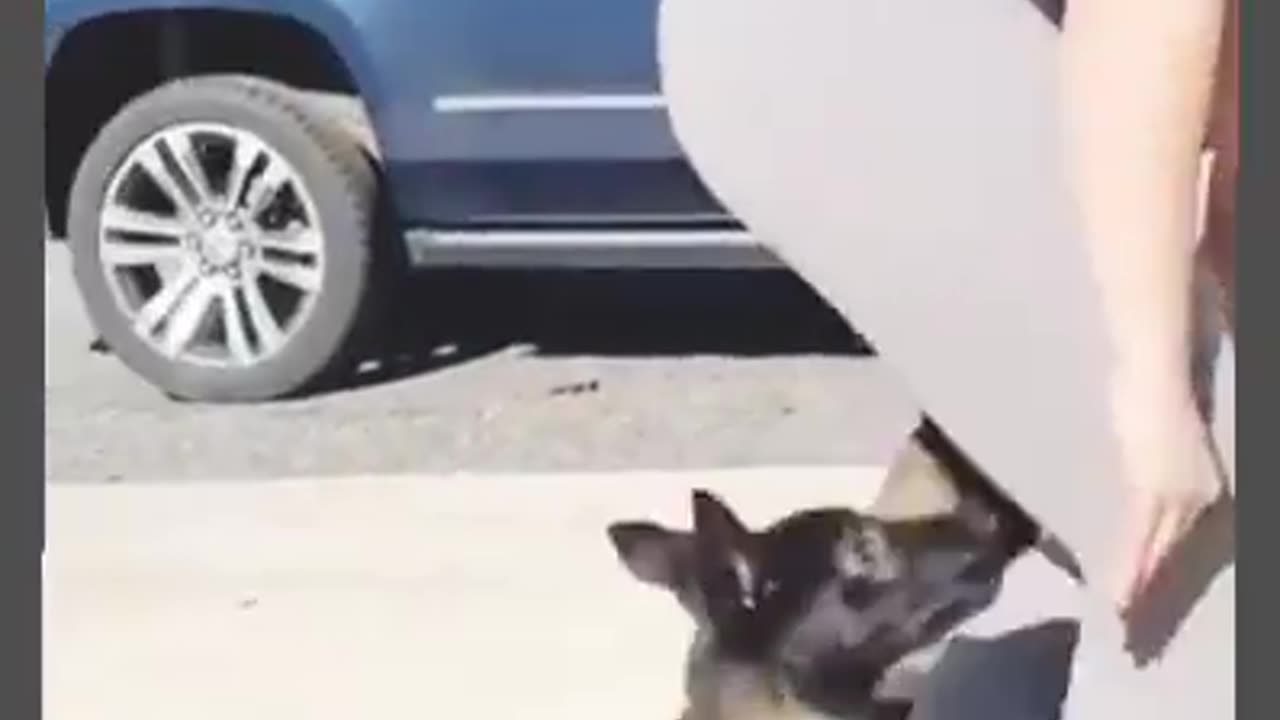 training