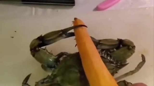 Not Mr krabs😭. Tag a friend and say nothing