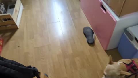 2023-04-04 (2) - Matinux - Twitch Meutemediatique