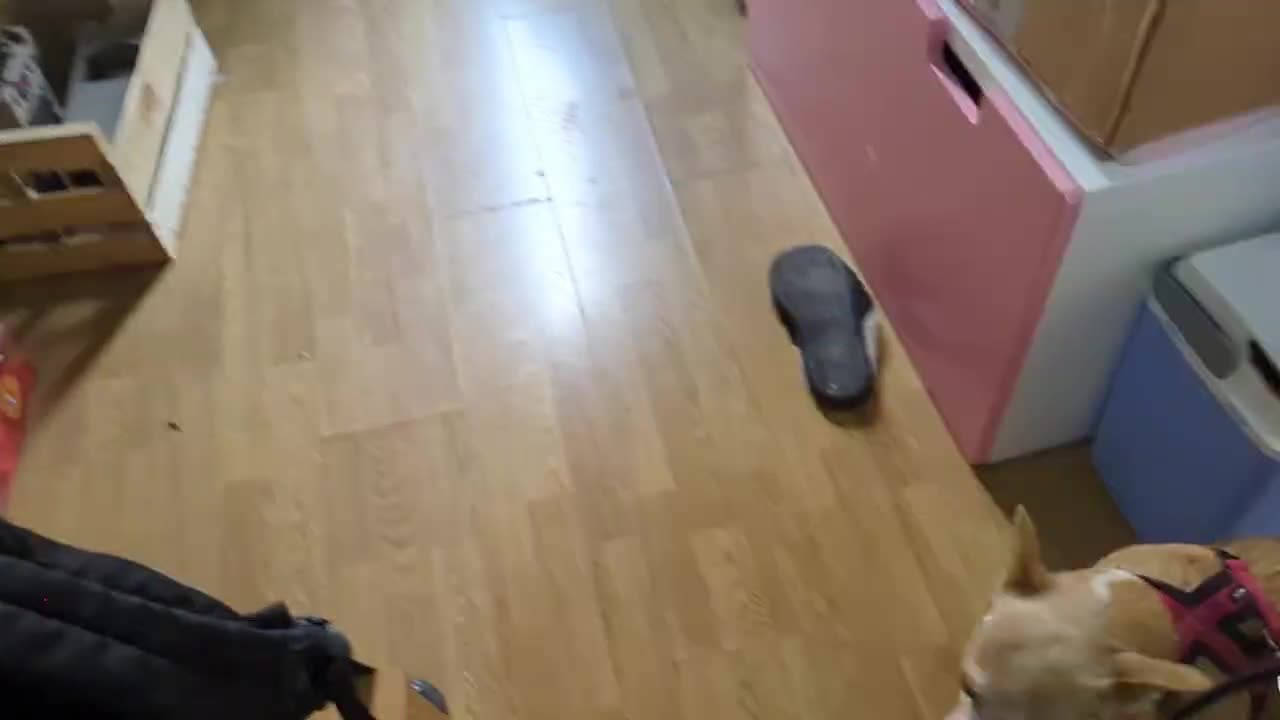 2023-04-04 (2) - Matinux - Twitch Meutemediatique