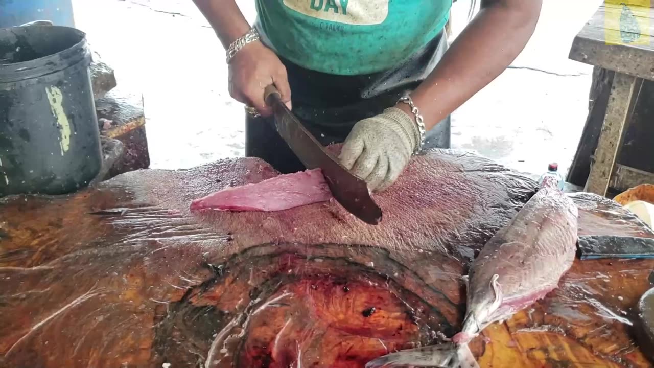 Skipjack Tuna Cutting Skills By Ravi