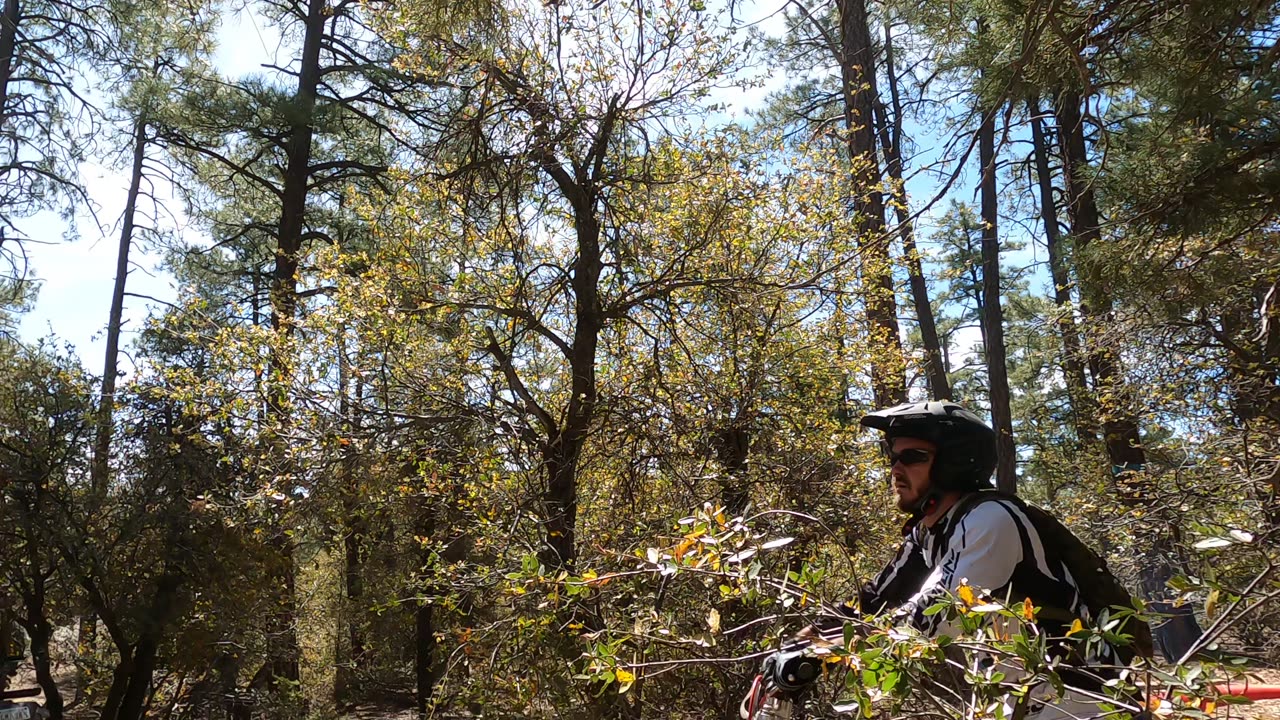 CAT trials 5/7/23 Vid 10419