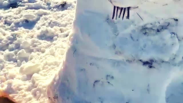 Watch Luna Freak Out at EVIL Snowman