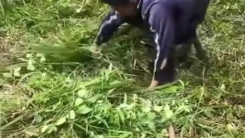 This man is so strong!