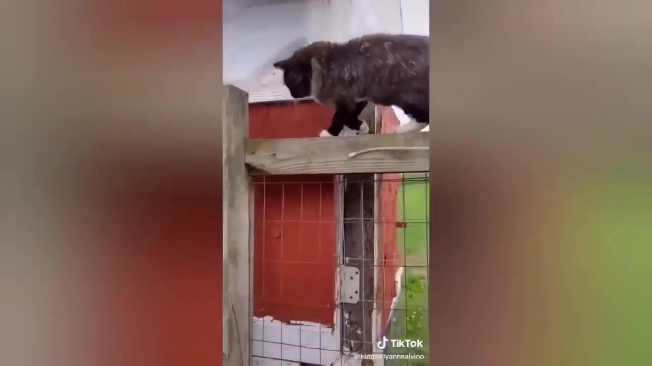 playtime