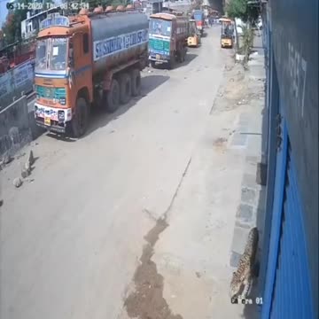 Wildlife in Closer View with natural perspective.