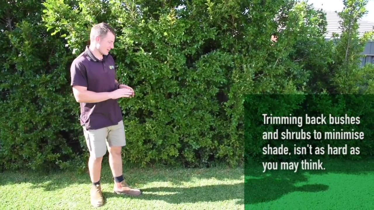 Innovative Gardening Tools _ Lawn Tips for Winter