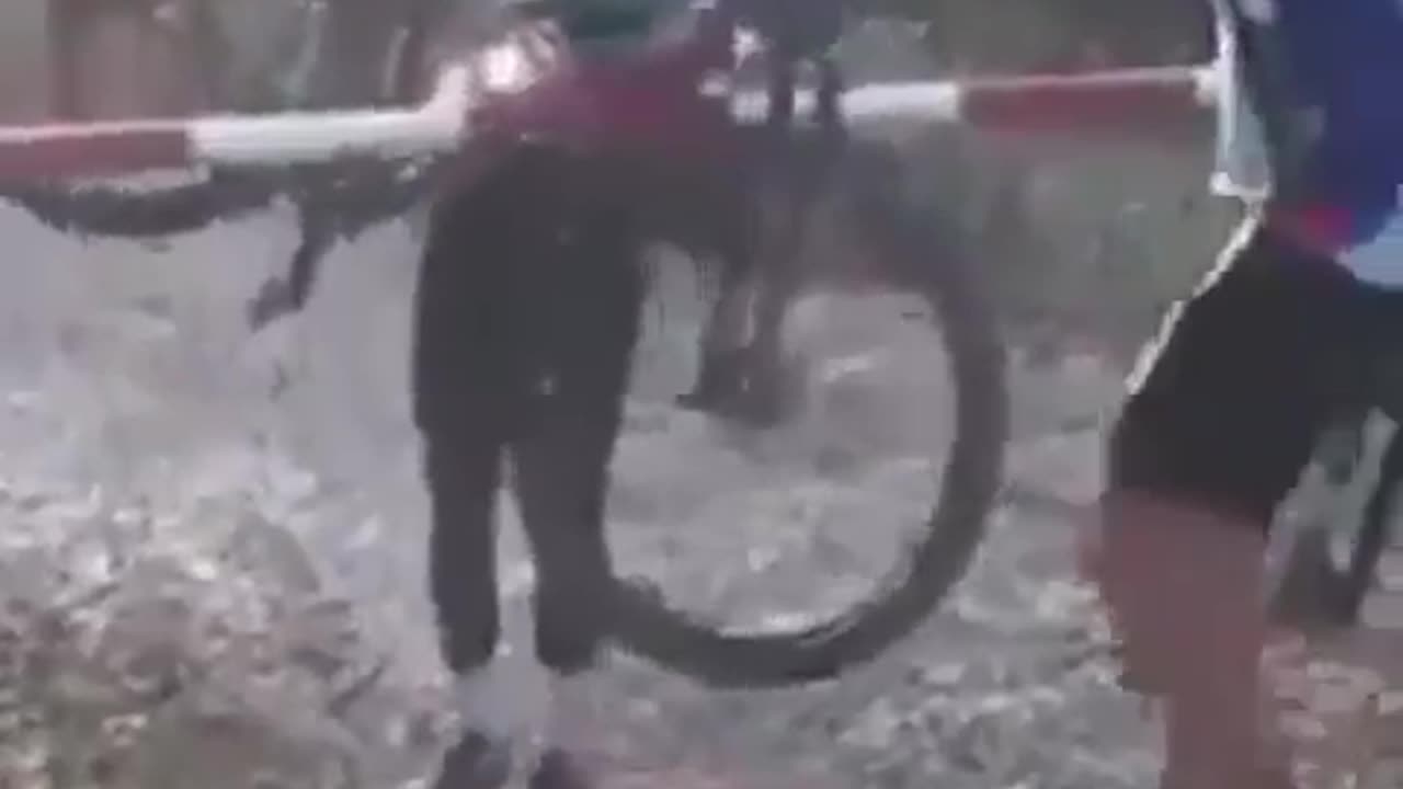 Funny Bicyclist