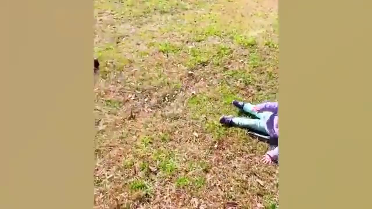 Fun baby video