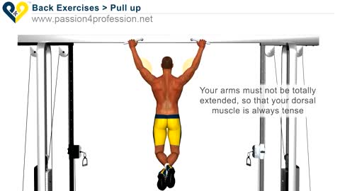 Pull Up Exercise