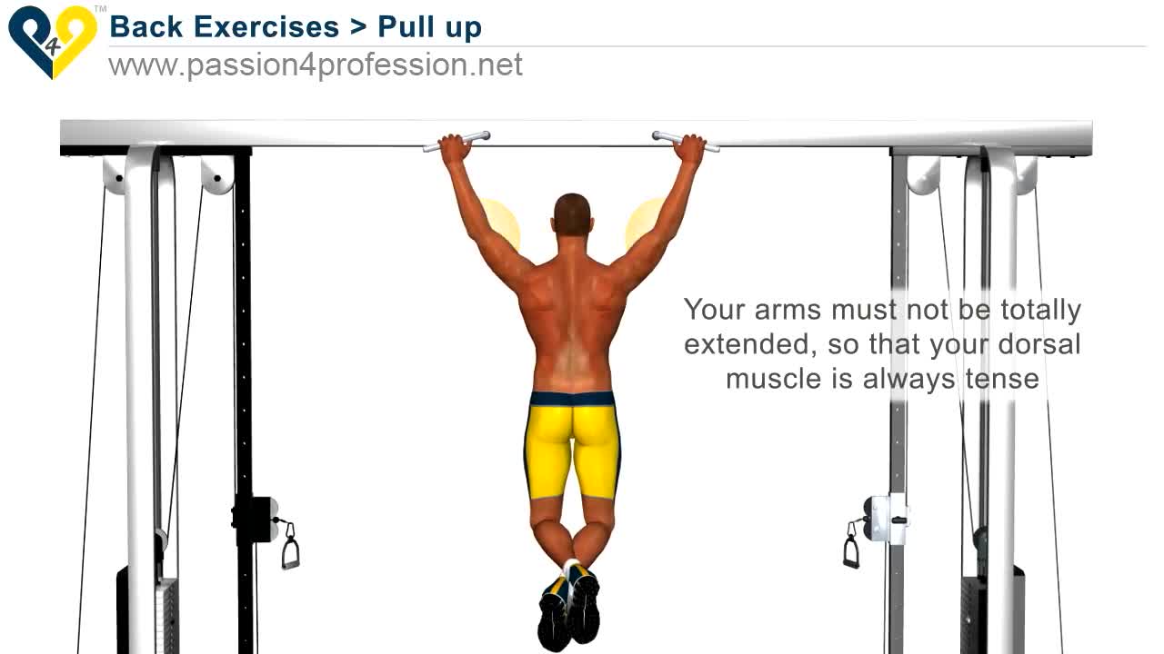 Pull Up Exercise
