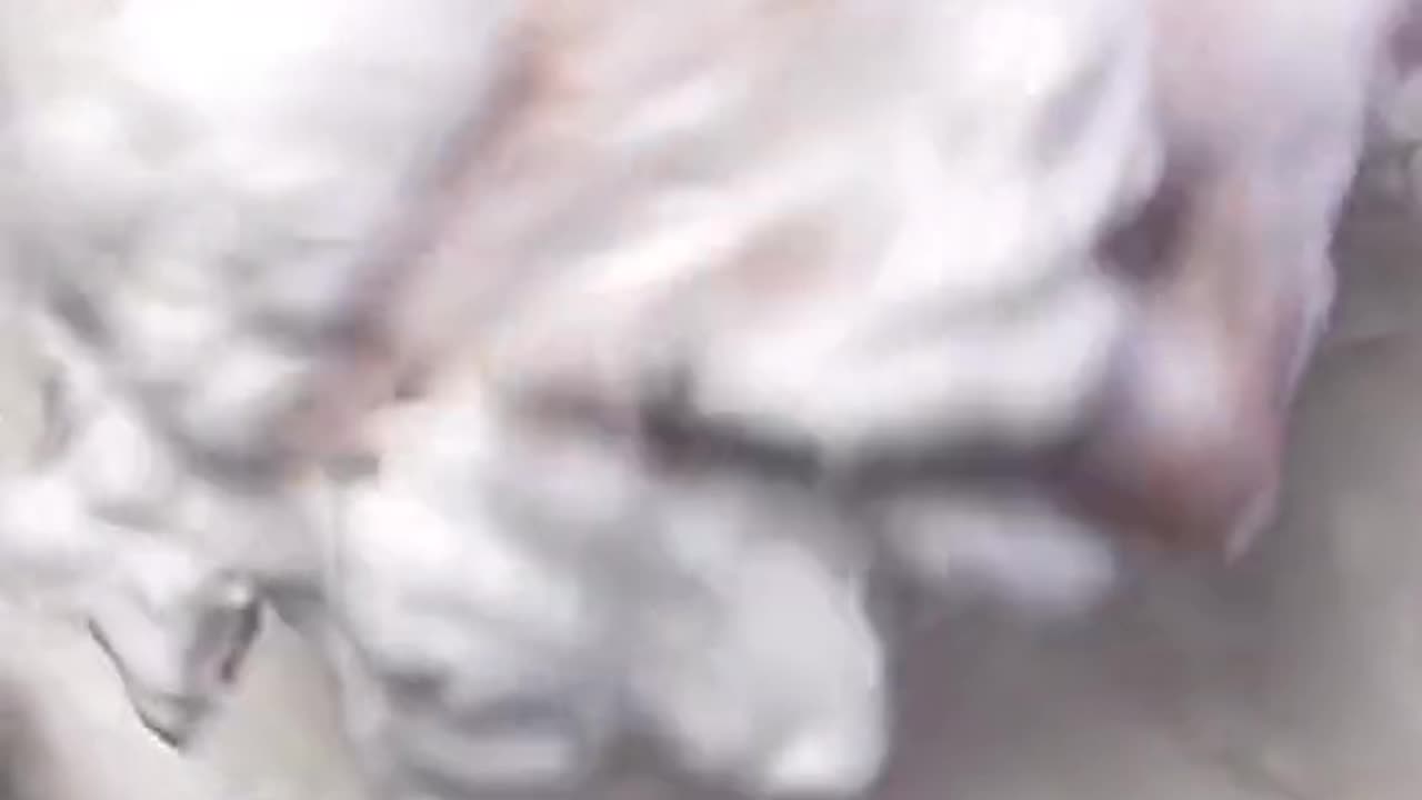 Soap cream amazing and great feeling /PARTE 2