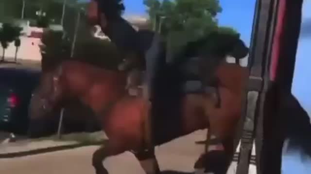 Man Enters Store With Horse