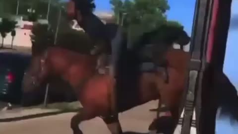 Man Enters Store With Horse