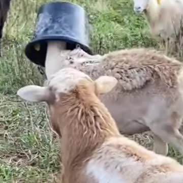 Who switched off the lights😂😂