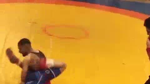 فن کشتی ایرانی ناب