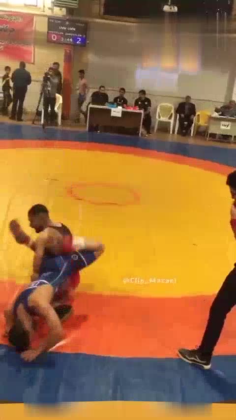 فن کشتی ایرانی ناب