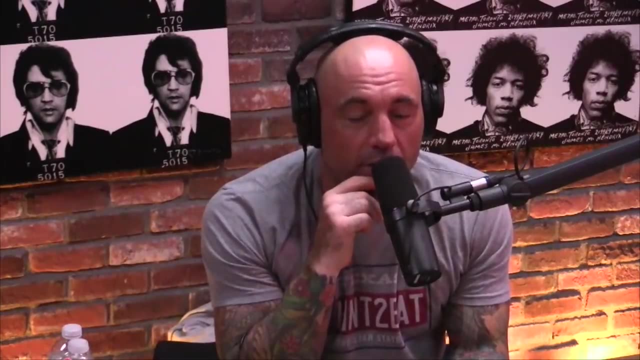 Joe Rogan Experience #820 - Milo Yiannopoulos.mp4